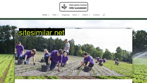 vasteplantenkwekerijmtslucassen.nl alternative sites