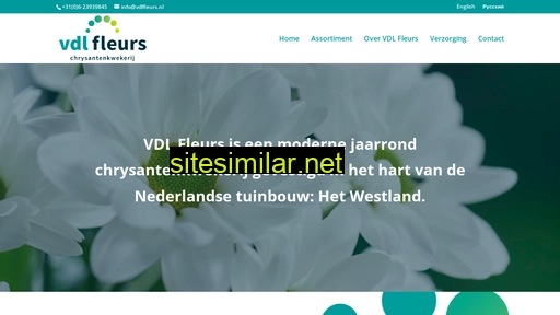 vdlfleurs.nl alternative sites