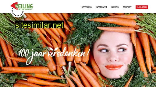 veilingzaltbommel.nl alternative sites