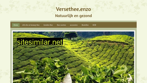 versetheeenzo.nl alternative sites