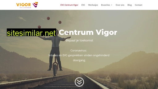 vigor.nl alternative sites