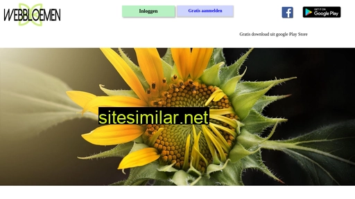 webbloemen.nl alternative sites