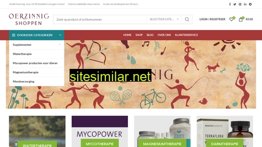 webdesignleeuwarden.nl alternative sites
