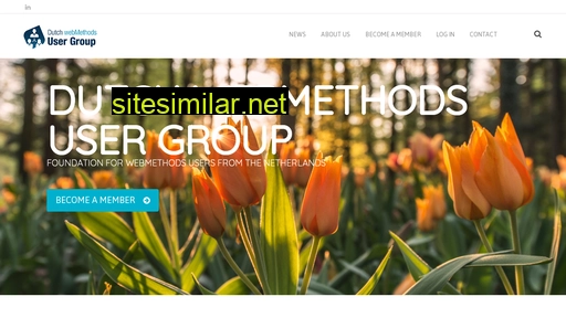 webmethodsgebruikers.nl alternative sites