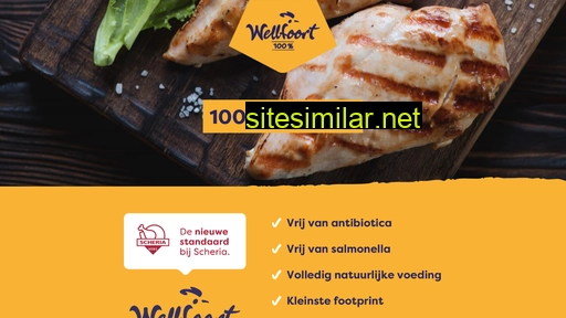 wellfoort.nl alternative sites