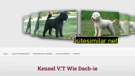 wiedachie.nl alternative sites