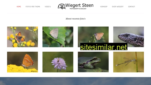wiegertsteen.nl alternative sites