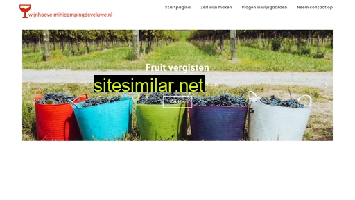 wijnhoeve-minicampingdeveluwe.nl alternative sites