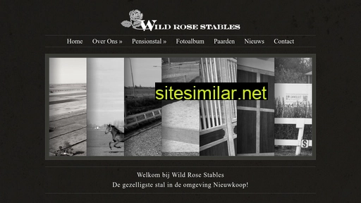 wildrosestables.nl alternative sites