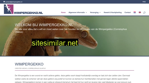 wimpergekko.nl alternative sites