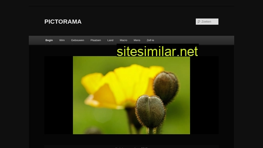 wimalleman.nl alternative sites