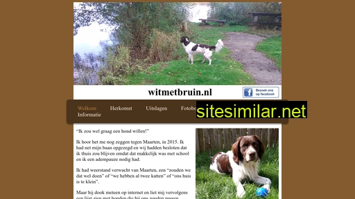 witmetbruin.nl alternative sites