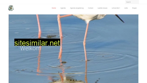 witroka.nl alternative sites