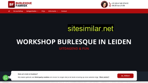 workshopburlesqueleiden.nl alternative sites