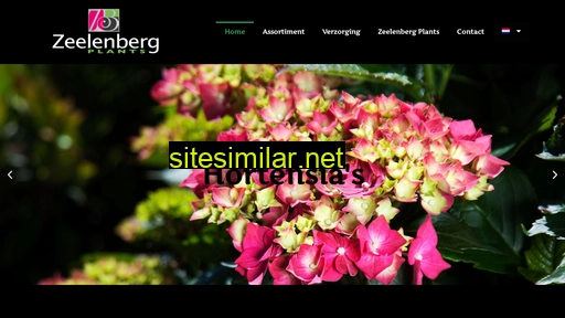 zeelenbergplants.nl alternative sites