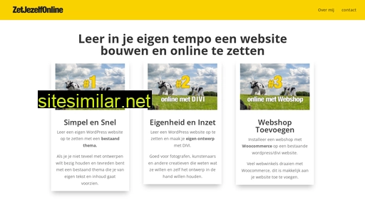 zetjezelfonline.nl alternative sites