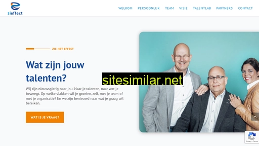 zieffect.nl alternative sites