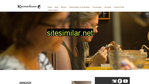 zilvershopkameleon.nl alternative sites