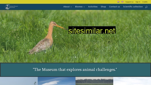 zoologicalmuseum.nl alternative sites