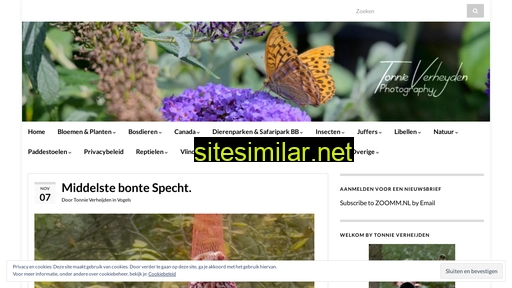 zoomm.nl alternative sites