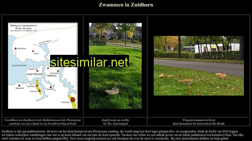 zwammeninzuidhorn.nl alternative sites
