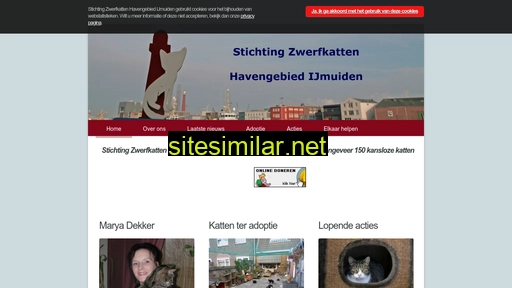 zwerfkattenijmuiden.nl alternative sites