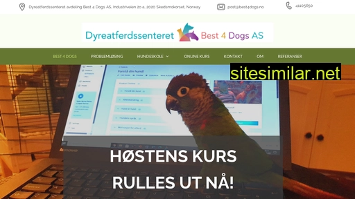 best4dogs.no alternative sites