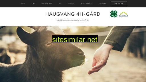 haugvang.no alternative sites
