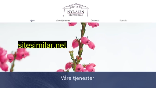 nydalen-orenesehals.no alternative sites