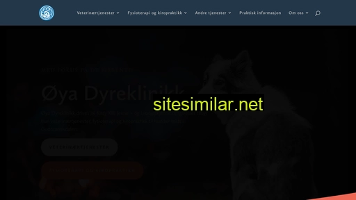 oyadyreklinikk.no alternative sites