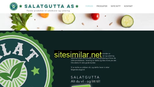 salatgutta.no alternative sites