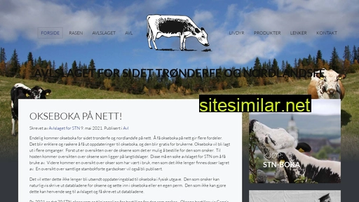 stn-avl.no alternative sites