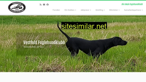 vestfoldfuglehundklubb.no alternative sites