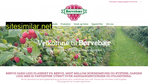 børvebær.no alternative sites