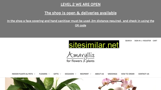 amaryllisforflowers.co.nz alternative sites