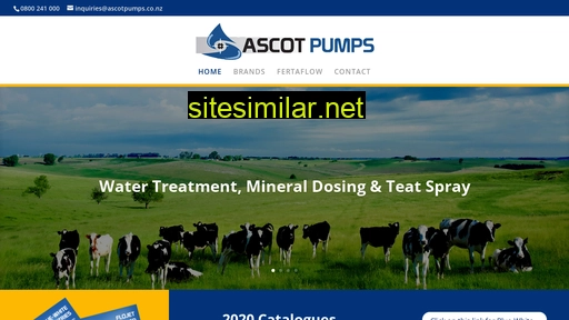 Ascotpumps similar sites