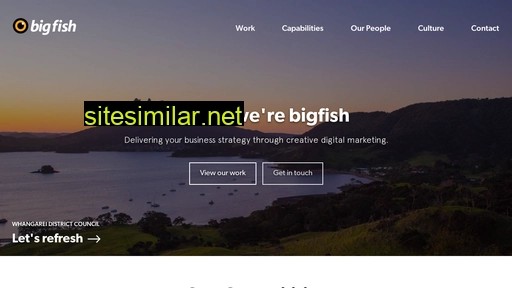 bigfish.nz alternative sites