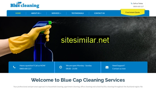 bluecapcleaning.co.nz alternative sites