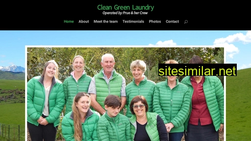 clean-green-laundry.co.nz alternative sites