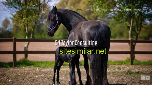 cntaylorconsulting.nz alternative sites