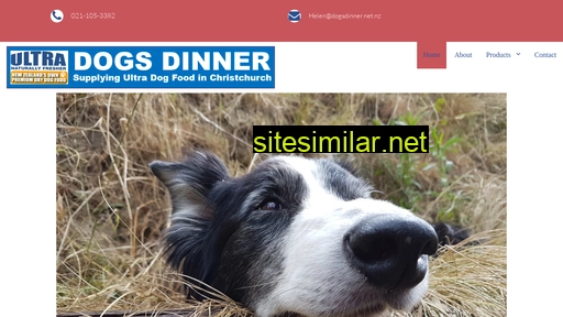 Dogsdinner similar sites