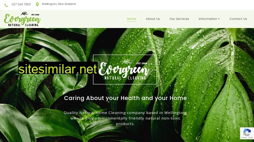 evergreencleaning.co.nz alternative sites