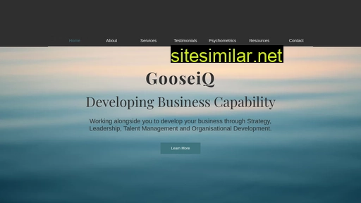 Gooseiq similar sites