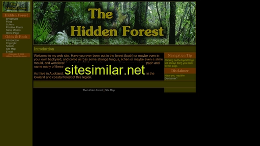 Hiddenforest similar sites