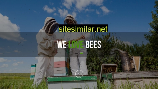 kiwibees.co.nz alternative sites