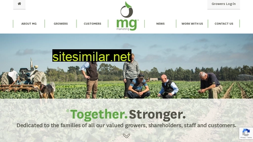 mgmarketing.co.nz alternative sites