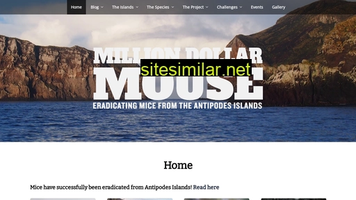 milliondollarmouse.org.nz alternative sites