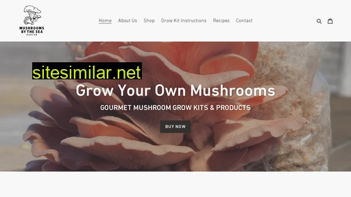 mushroomsbythesea.co.nz alternative sites
