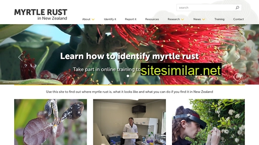 myrtlerust.org.nz alternative sites