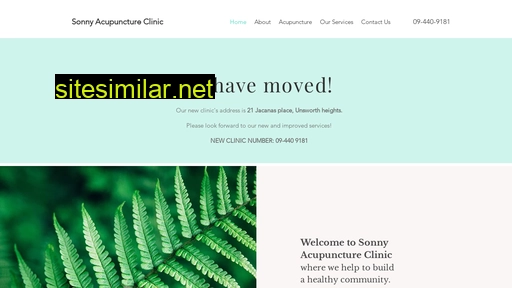 sonnyacupuncture.co.nz alternative sites